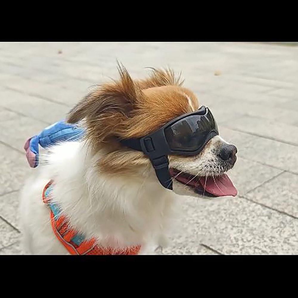 Silicon+PC+Nylon Pet Goggles A - Windsor Knot Tie のレビューと価格