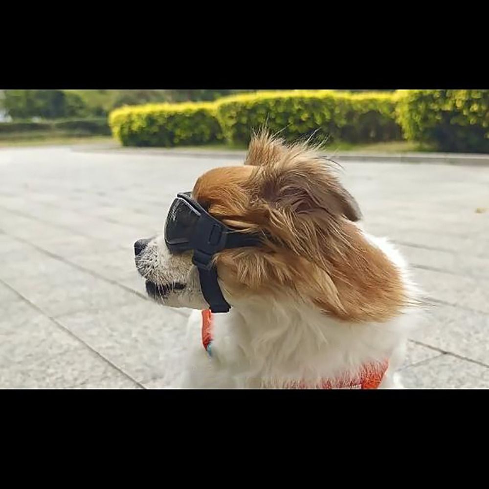 Silicon+PC+Nylon Pet Goggles A - Windsor Knot Tie のレビューと価格